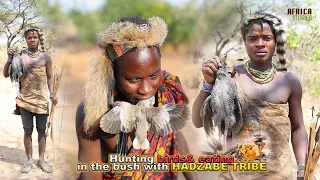 EPIC HUNTING & EATING GUINEA FOWLS AND DOVES WITH THE HADZABE TRIBE//FULL DOCUMENTARY