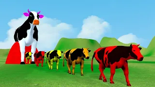 Paint Animals With Gorilla, Cow, Tiger, Lion, Elephant, Fountain Crossing Animal Cartoon