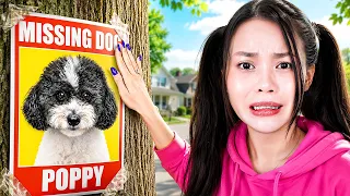 Chú Chó Của Tôi Đã Bị Mất Tích...