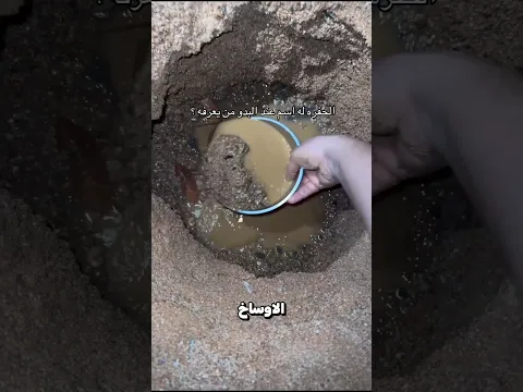 عثر على الماء في الصحراء 😮 ؟!