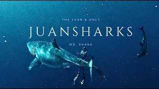 Meet My "Juan and Only" Shark 😍😍 #SharkLove #SharkCouple #SharkMan #MrShark #CoupleGoals #juansharks