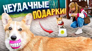 Распаковка с корги Бентли! Бесполезные игрушки для питомцев?