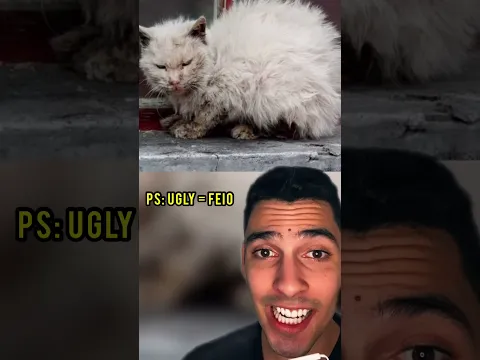 TODOS FORAM AVISADOS PARA NÃO TOCAR NESTE GATO / EVERYBODY WAS TOLD TO NOT TOUCH THIS CAT