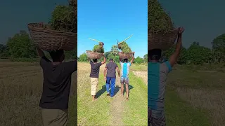 What did the two children do?