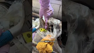 ¡Solo me dieron 6 horas! 🥹 #asmr #cleaning #viral