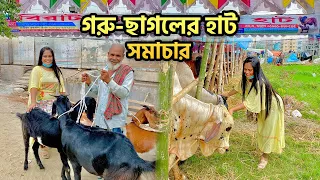 গরু-ছাগলের হাট সমাচার 🐄🐐 | Marjia Mimi