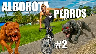 Alborota Perros En Cicla 🐶 *Me Mordieron* - Andrés WG