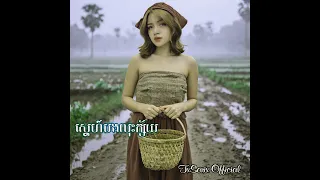ស្នេហ៍បងលុះក្ស័យ || Khmer Song