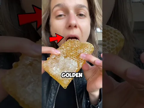 Honey Found Under the Microscope!😱