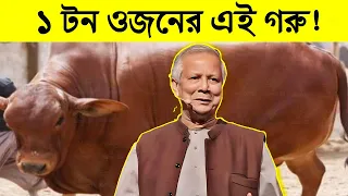 ১ টন ওজনের এই গরু গুলোকে দেখলে অজ্ঞান হয়ে যাবেন | 10 Biggest Bulls in the World | Science BD