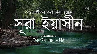 (New) অন্তর শীতল করা সূরা ইয়াসিন এর তিলাওয়াত ┇ Surah Yasin Recited by Ismail An Nouri ┇An Nafee