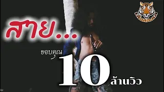 สาย - เสือสองเล【OFFICIAL MV】สืบสานตำนานเพลงอาจารย์เอนก ร็อคพันทาง N0.1/10