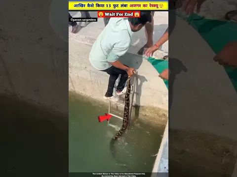 पानी के अंदर से किया 13Ft लंबा अजगर का rescue 😱🐍