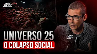 Abundância que DESTRÓI – o que o Universo 25