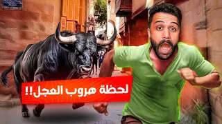 هروب عجل اثناء الدبح كان هيمووتناا  😱🔥