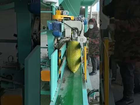 Worker Filling full bags and transporting with conveyor belt automatically