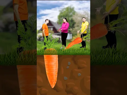 Never Give Up 3