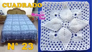 Cuadrado N° 23 Tejido a crochet: hojas en relieves paso a paso para mantitas y cobijas de bebe