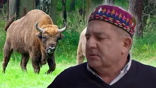 Makłowicz obraża Podlasie