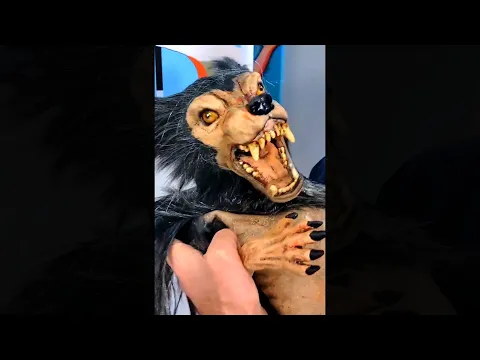 STRAY PUPPY BITES HAND! #shorts