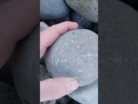 How do I know there's a fossil in a rock 🦀 #short #fossil