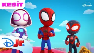 Spidey Maskesini Kullanmak | Marvel Spidey ve İnanılmaz Arkadaşları | @DisneyPlusTR