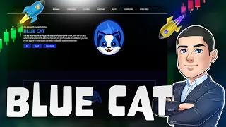 Blue Cat This is a decentralized betting game hosted on the abundance SmartChain!