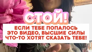 Стой! Если тебе попалось это видео, Высшие силы что-то хотят сказать тебе!