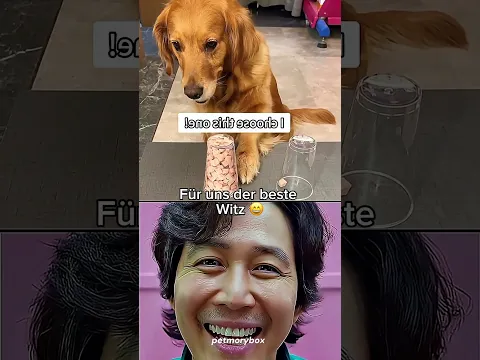 Für immer in meinem Herzen. 💔🕊️#petloss #goldenretriever #puppy #fürimmerimherzen