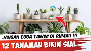 Buang Segera ! Inilah 12 Tanaman Pembawa Sial di Rumah
