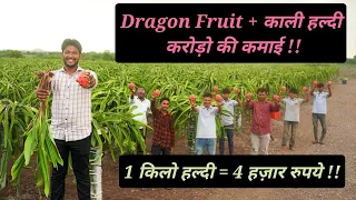 Dragon Fruit + Black Turmeric = करोड़ो की कमाई || 1किलो काली हल्दी = 4 हज़ार रुपये || Hello Kisaan