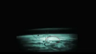this is Public Ufo Disclosure that proves that life exists on the Moon +  footage to Blow your Mind