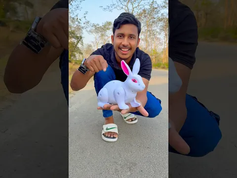 2 RC Snake 🐍 And 1 Rebbit 😀