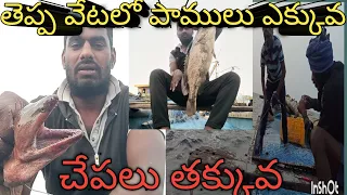 amazing తెప్ప వేట ఫిషింగ్ లో గాలనికి 30 పాములు   #viral #youtube  @port ramu subscribe 🙏🤝❤