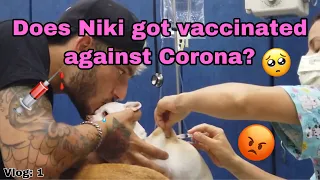 What happened to my dog Niki - VOLG 1?!?!