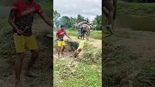 ২৯ জুন ২০২৫