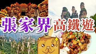 [高鐵遊] 香港🚄直達張家界⛰️！睇阿凡達原型🧞‍♂️乾坤柱 正宗湖南土匪雞🐔 超抵玩七十二奇樓🏢