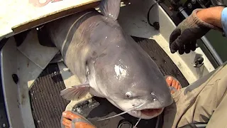 I Hooked Some SUMO Size Fish In This DEEP Hole!!!