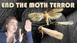 How to prevent and fight moths in your yarn stash! 