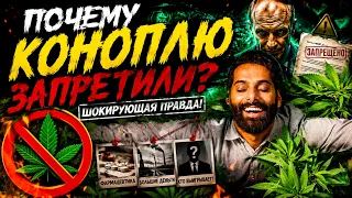 🚫 ПОЧЕМУ ЗАПРЕТИЛИ КОНОПЛЮ? То, о чём почти никто не говорит