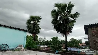 The Real Nature 🌿