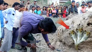 पहली बार इस गांव में हुआ ऐसा घटना, एक ही जगह निकला 3 नाग नागिन का जोड़ा पुलिस प्रशासन मौके पर पहुंचे