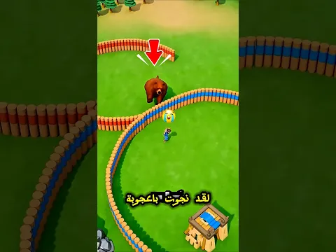 معركة البقاء وبناء الحواجز ضد الدببة 🐻💰