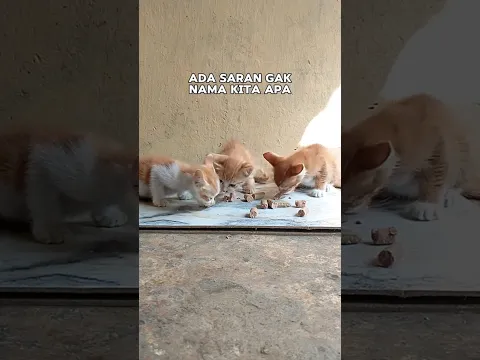 Day 1 oyen mukbang sosis #cat #kucing #shorts