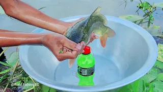 Amazing Fishing Technique | Hook Catch Fish Trap | Village Boy Hook Fishing Trap With Plastic Bottle