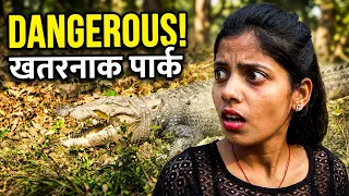 मगरमच्छ वाला पार्क🐊Kakra Crocodile Park Majhola Khatima🐊Most Dangerous Crocodile Park River in India