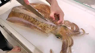 【活け造り】イカはこの食べ方が一番うまい。まだ生きてるイカを素早くさばきます。