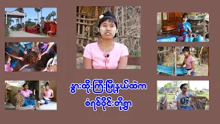 တိမ်မြုပ်ပျောက်ကွယ်လုနီးပါးဖြစ်နေတဲ့ နွားထိုးကြီးမြို့နယ်က ဆံရစ်ဝိုင်းတို့ရွာ(သို့)ခံစပ်ကုန်းရွာ