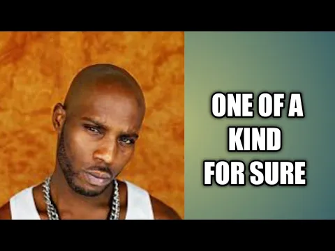 Dmx interacting with a fan he saw crying at his shpw show