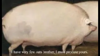Bröther, gimmie your oats.